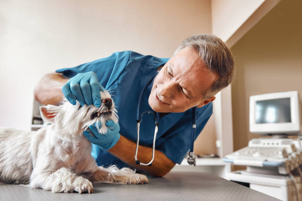 Best Dental Emergency Near Me  in Far Hills, NJ
